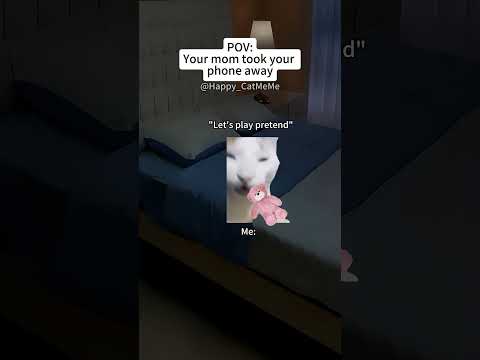 Cat Memes 🐱Your mom took your phone away #catmemes #relateable #funny