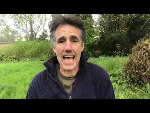 DEATH tarot card meaning