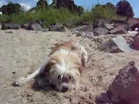 Chandini on vacation at the beach