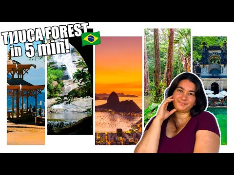 Tijuca Forest: the lungs of Rio has more than you can imagine!