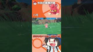 色違い厳選の旅「パモ」