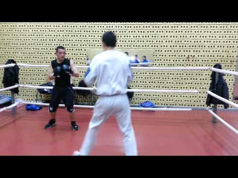 Malvin Gashi Boxer Sparring