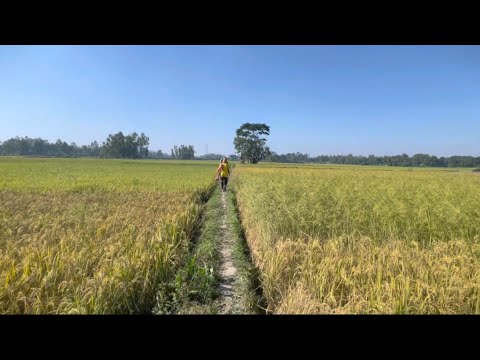 Gram Bangla New Blog 🌻 Mr Rasel Media 