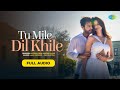 Tu Mile Dil Khile | Stebin Ben | Asees Kaur | Larrissa Bonesi | Lijo G-Dj Chetas | Full Audio