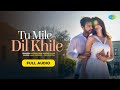 Tu Mile Dil Khile Stebin Ben Asees Kaur Larrissa Bonesi Lijo G Dj Chetas Full Audio