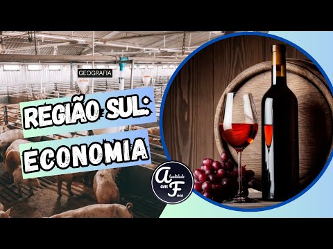 REGIÃO SUL: ECONOMIA (GEOGRAFIA)