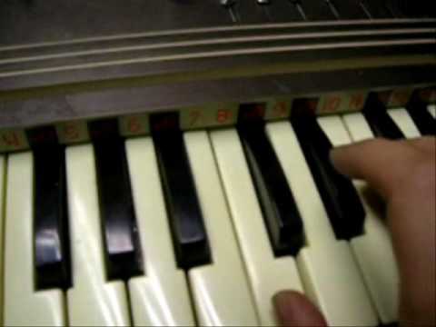 modified bontempi memoplay