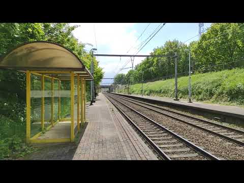 2 HORNS AT MORTSEL-DEURNESTEENWEG STATION!!!