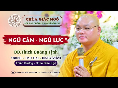 Ngũ căn ngũ lực - Thầy Quảng Tịnh giảng lớp Bát Chánh đạo cơ bản K17