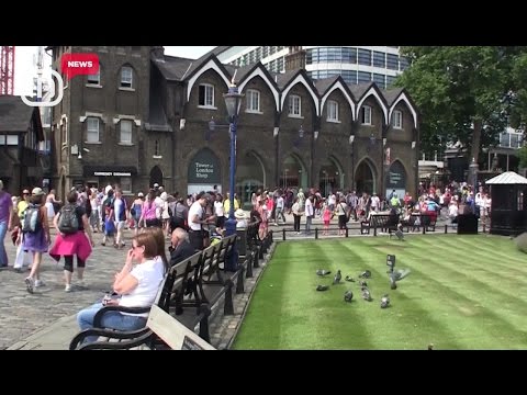 Pasiviteti fizik, rrezik për jetën. Një burrë kalon 78 ditë të jetës ulur, gratë 74 ditë