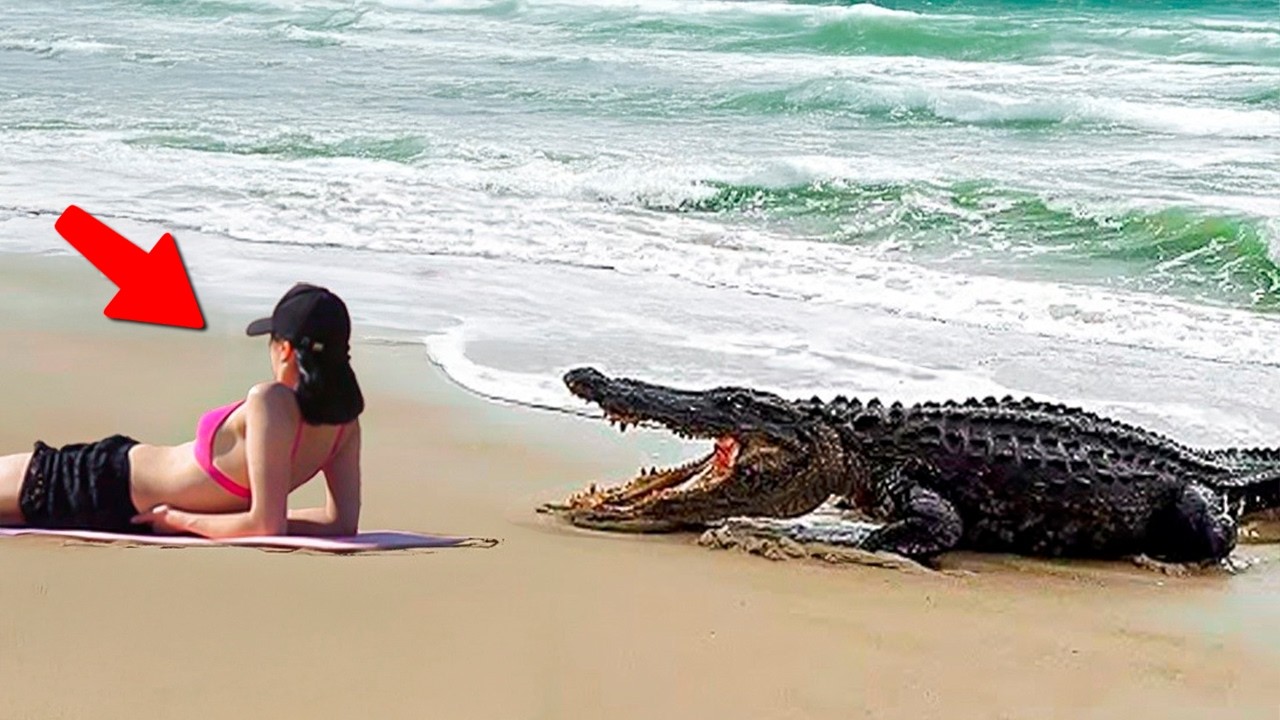 90 Luckiest People Ever Caught on Camera