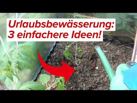 Urlaubsbewässerung für Hochbeet und Co!