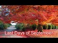 Last Days Of September   --  Throwback Video Series