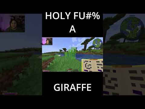 DaFluffyNinja13Gaming - THESE ARE IN ALL THE MODS 8 MINECRAFT