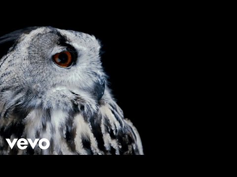 Mostro - Vomito (Visual Video)