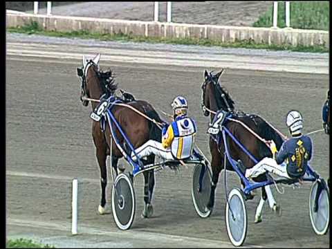 Trotto 01/04/2016 - 6° Corsa