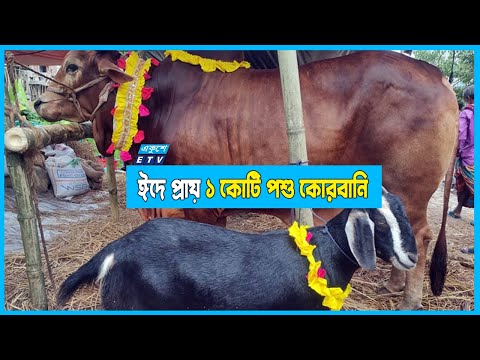 সারাদেশে প্রায় ১ কোটি পশু কোরবানি