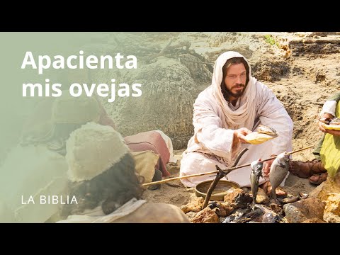 Apacienta mis ovejas