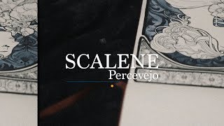 Percevejo Music Video