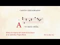 «Ave maris stella» – Himno en honor a la Santísima Virgen María – Canto Gregoriano