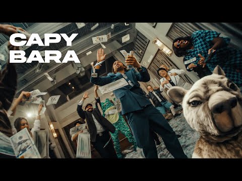 Mr. Thank You - Capybara To The Moon (Official Music Video)