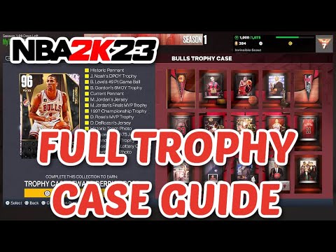 Myteam Trophy Case Guide