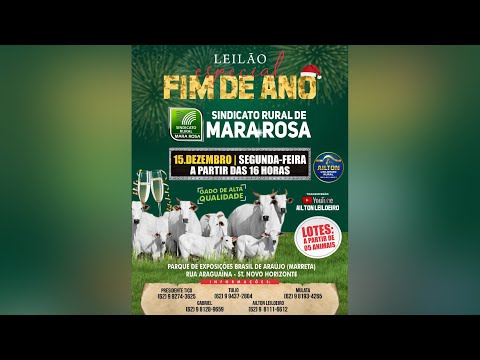 LEILÃO ESPECIAL DE GADO DE CORTE - SINDICATO RURAL DE MARA ROSA 15/12/2025