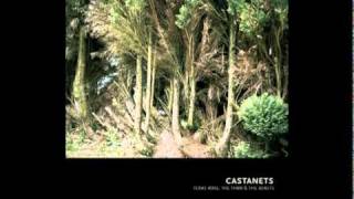 Castanets - Lucky Old Moon