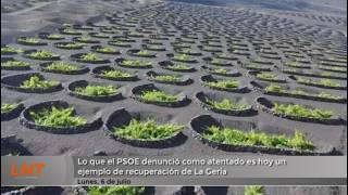 Lo que el PSOE denunci&oacute; como un atentado es hoy un ejemplo de recuperaci&oacute;n de La Geria
