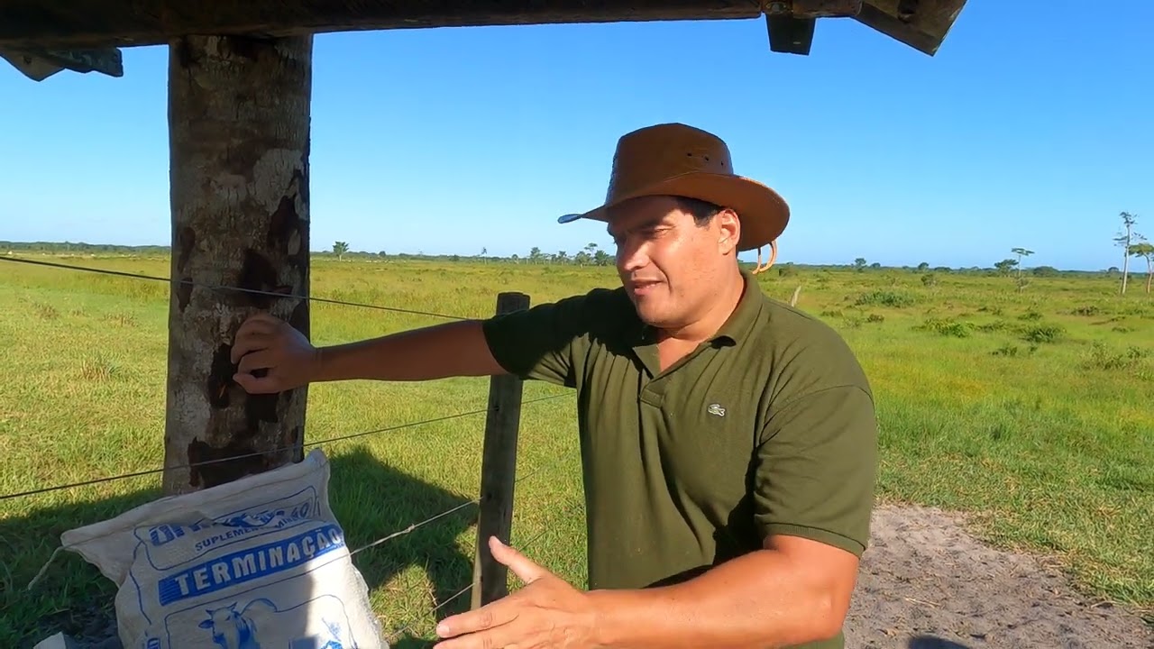 Qual sal mineral usar?