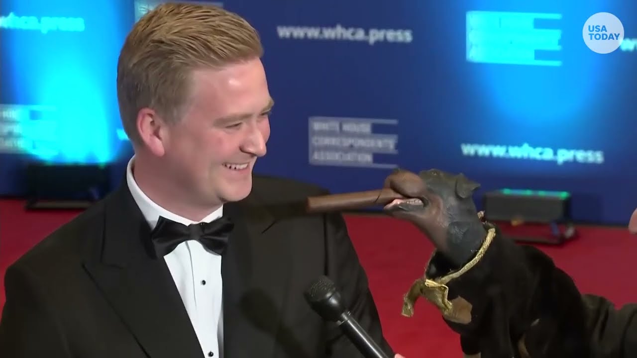 Triumph the Insult Comic calls Fox News' Peter Doocy 'a catch' at White House Correspondents' Dinner