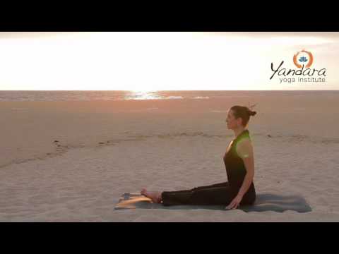 Dandasana | Staff Pose or Stick Pose by Allison Eaton