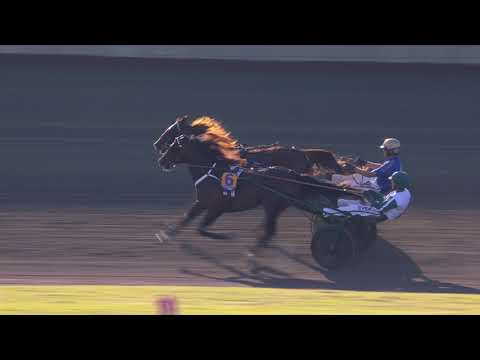 Åbytravet200808- Lopp 11 Sofiero Åby Stora Pris (Gr I Int) - STL open, Försök 10