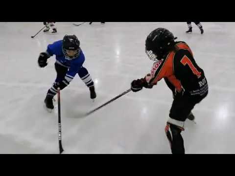 Királypingvinek A - Csíkszereda A