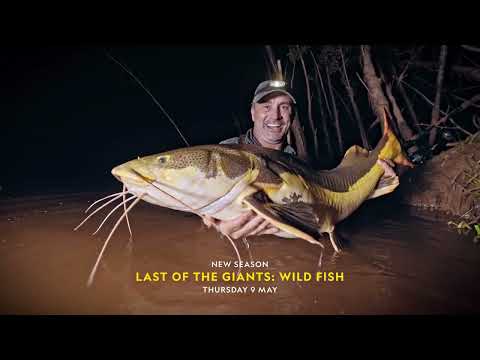 Last of the Giants (2021-2024)