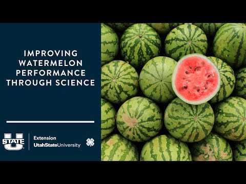 Improving Watermelon Performance Through Science