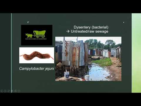 APES Unit 8.14: Pollution and Human Health