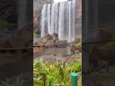 "Natureza e seus encantos"🍀•🏞️ Cachoeira Salto do Ariranha.•🌍 Ariranha do Ivaí - PR. #tripdogigante
