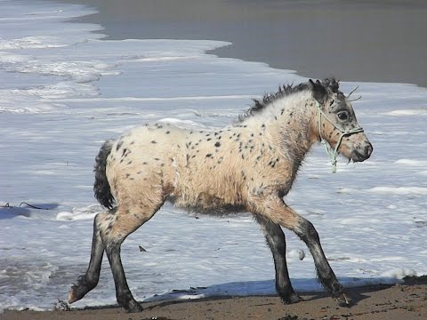 Lady Nadira first beach adventure
