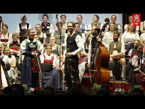 Huber Viergsong – Juhe, Tirolerbua! | Alpenländischer Volksmusikwettbewerb 2024