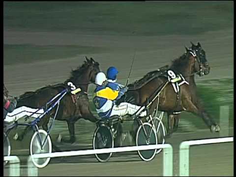 Trotto 02/12/2015 - 8° corsa