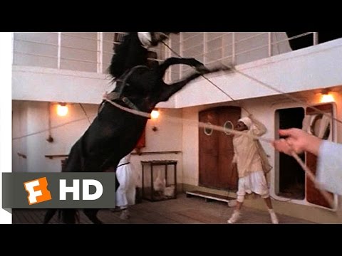 The Black Stallion (1/11) Movie CLIP - Alec Meets the Stallion (1979) HD