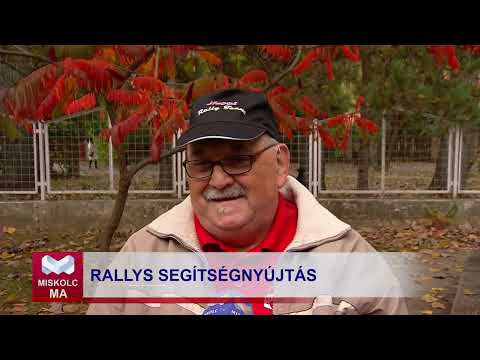 Videó előnézet