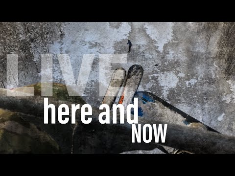 Живи здесь и сейчас / live here and now