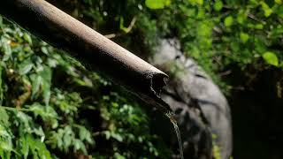 Download lagu Video mentahan pemandangan alam tanpa suara no copyright 8 ‼️ #4k mp3