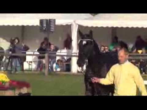 BOND - Kat. Nr. 6 von Belstaff - Londonderry