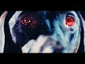 back number - エメラルド TBS系 日曜劇場『危険なビーナス』主題歌 back number - エメラルド TBS系 日曜劇場『危険なビーナス』主題歌