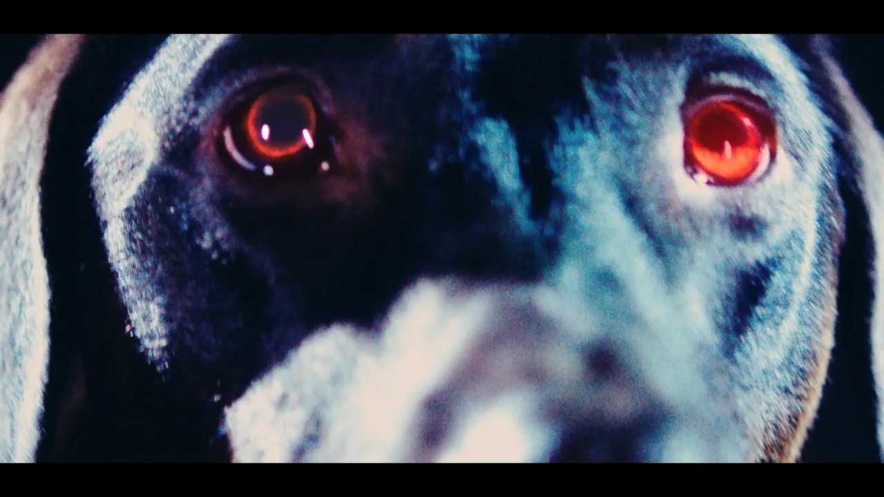 back number - エメラルド