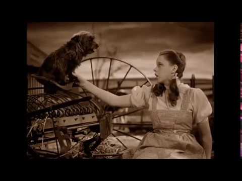 THE WIZARD OF OZ ('39): "Over the Rainbow"
