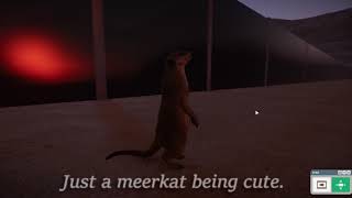 Meerkats Being Cute →「Planet Zoo Gameplay」